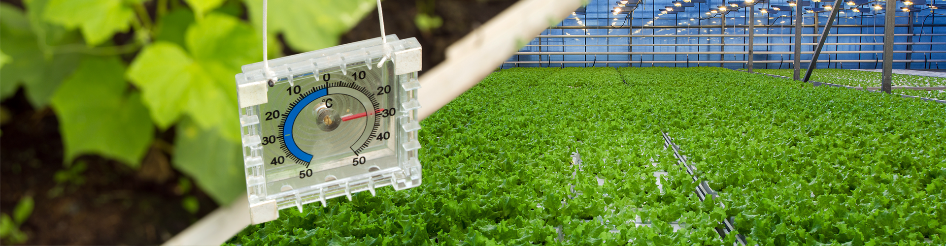 Temperature control is important in greenhouses